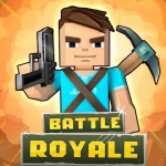 Mad GunZ - shooting games, online, Battle Royale